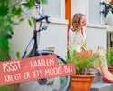 pssthaarlem